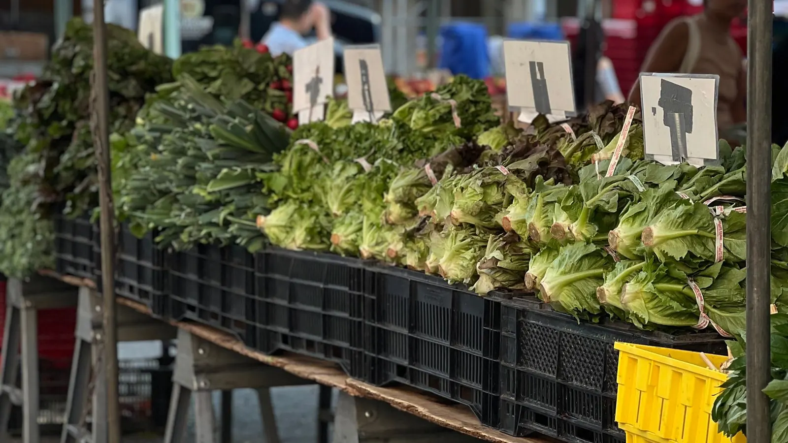 Разработка сайта для магазина фермерских продуктов